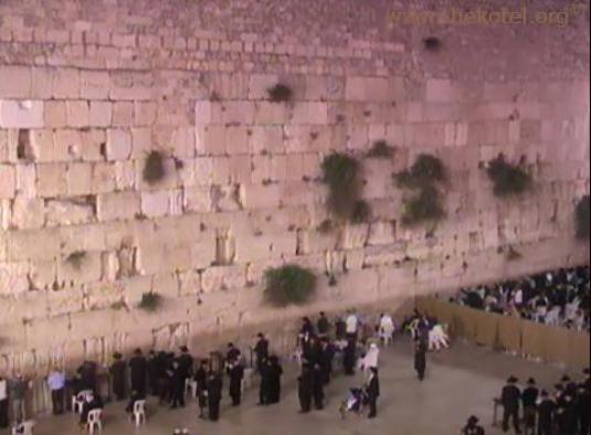 Live Western Wall Kotel streaming webcam Jerusalem
