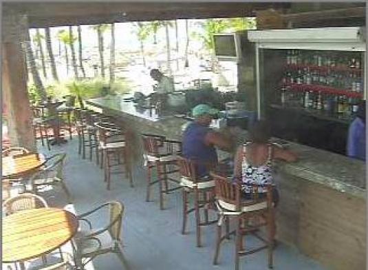 LIVE Streaming Aruba Bar Webcam Radisson Hotel, Aruba