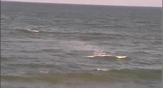 Sunglow Pier Live Streaming Daytona Beach Surfing Streaming Webcam Florida