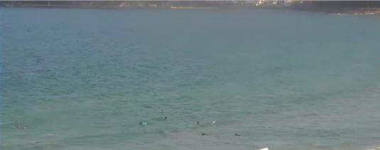 Manly Beach Live Streaming Surfing Weather Web Cam Sydney