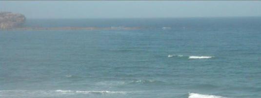 Curl Curl Beach Live Streaming Surfing Weather Cam Sydney