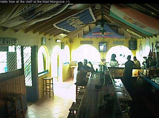 Antigua Live Streaming Bar Cam Mad Mongoose Falmouth Harbour Antigua
