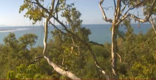 Thala Beach Lodge Resort Live Wildlife Webcam Port Douglas Australia