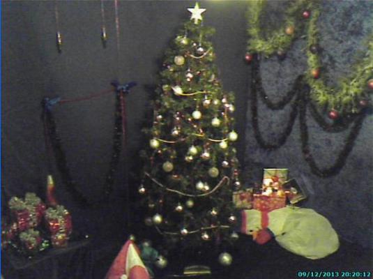 Christmas Grotto Tree Live Interactive Christmas Lights Webcam