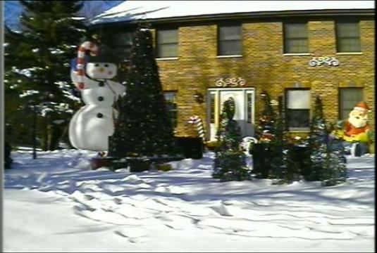 Christmas Tree Lights Streaming Webcam Geneva Illinois