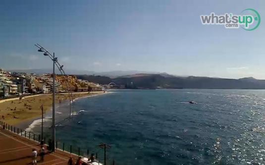 Las Canteras Beach Live Streaming Las Palmas Weather Webcam Gran Canaria