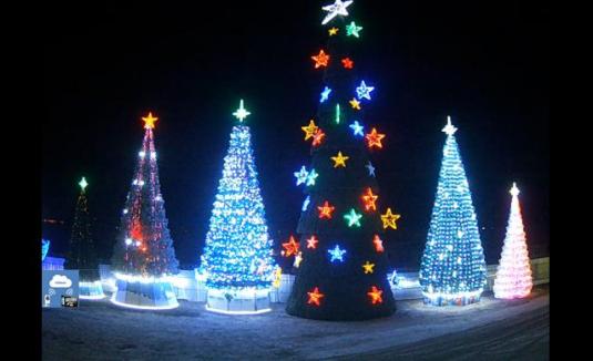 Live Christmas Trees Streaming Webcam Kolomna Moscow Russia