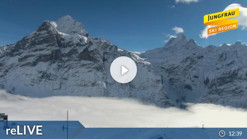 Grindelwald Skiing Resort Ski Slopes snow weather 360 panorama webcam Switzerland
