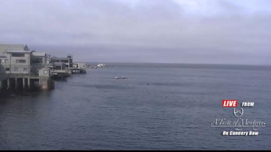 Cannery Row Live Monterey Bay Panorama Weather Web Cam Monterey California