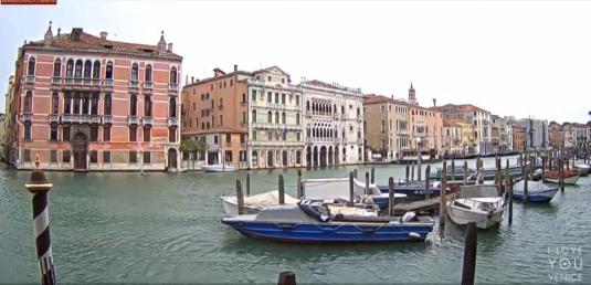 Live Venice Grand Canal COVID-19 Lockdown Webcam Venice Italy